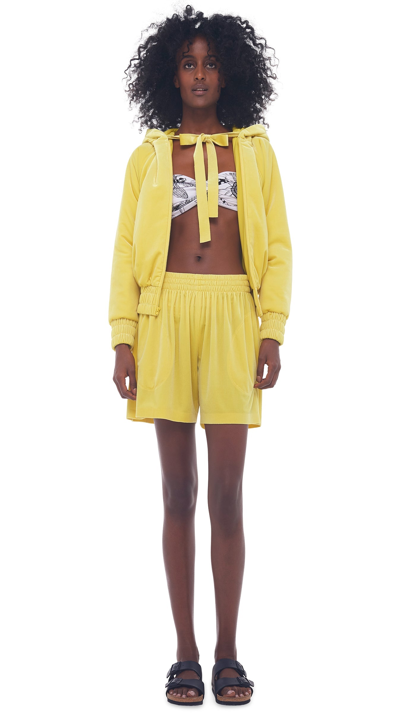 BF ELEPHANT SWEATSHORT