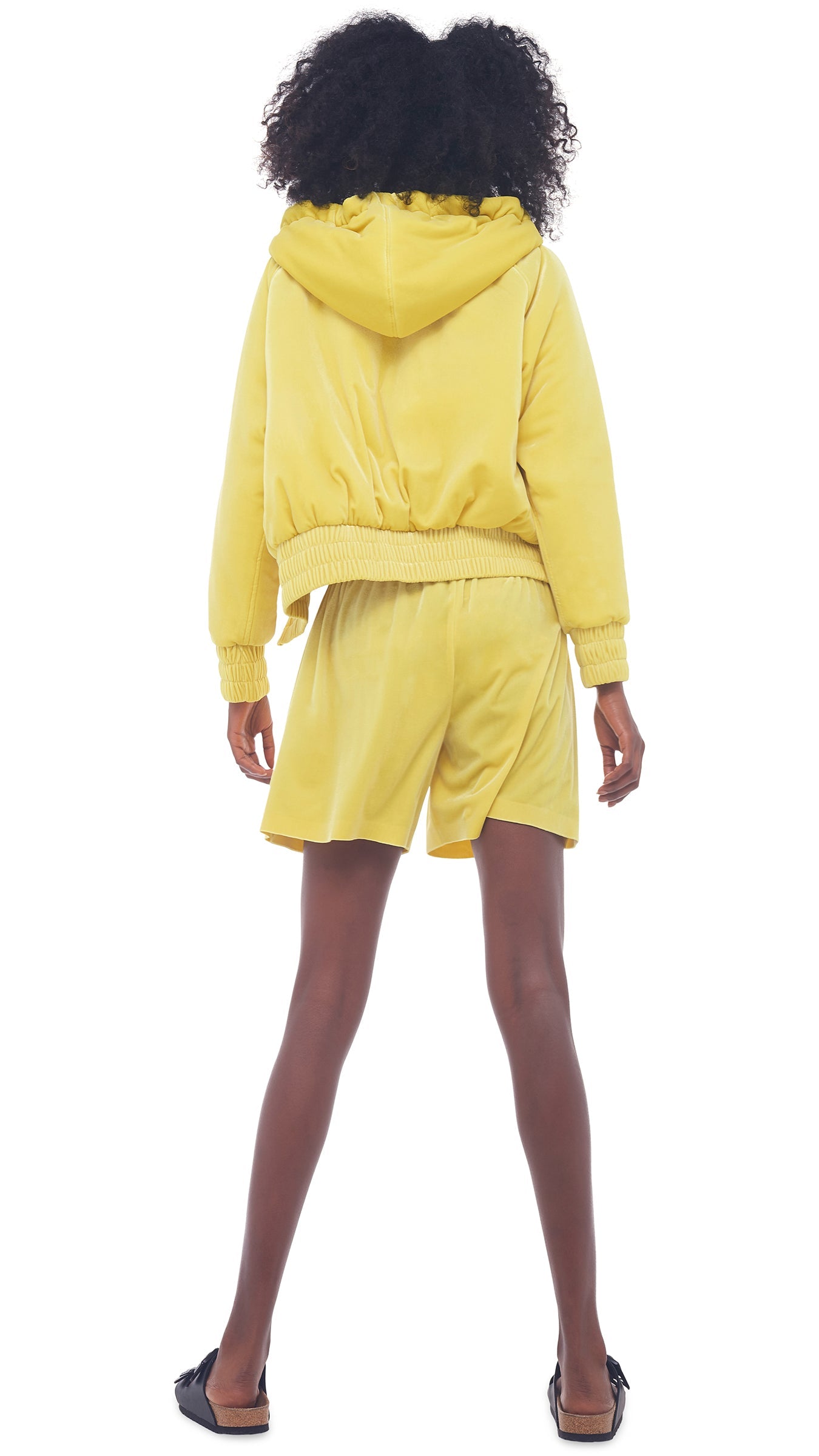 BF ELEPHANT SWEATSHORT