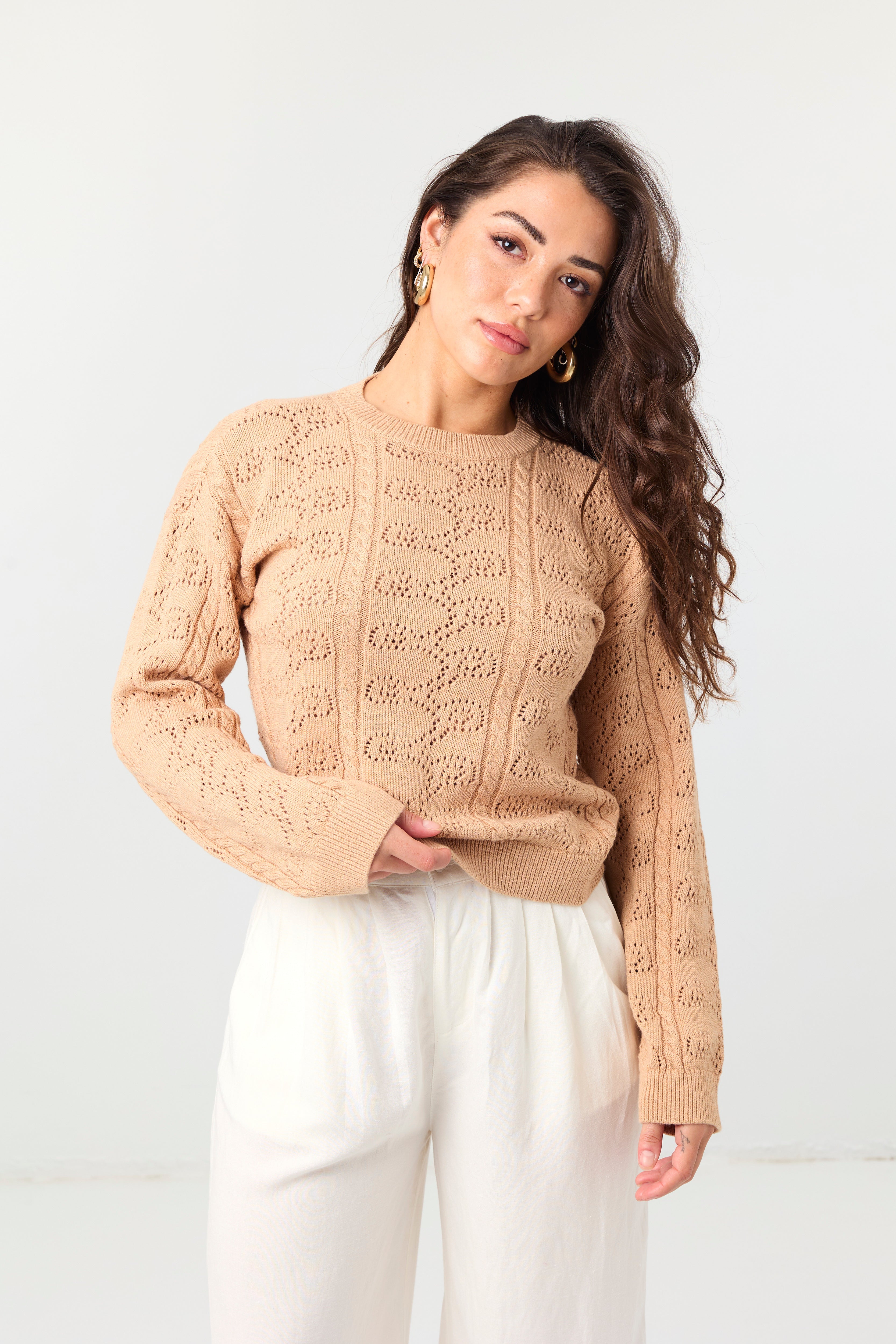 Signature Cotton Cashmere Sweater