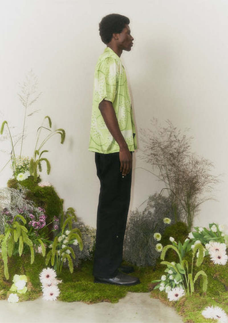 Falling Kiwis Shirt - Kiwi