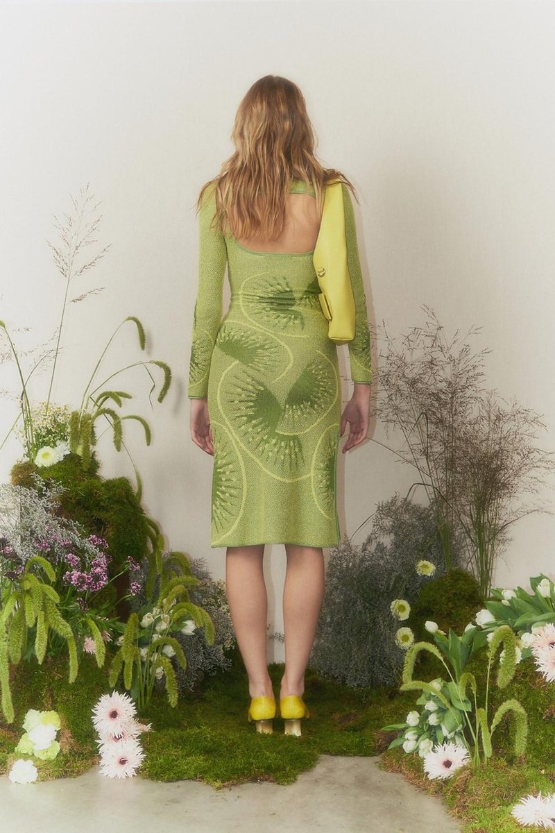 Falling Kiwis Sleeve - Kiwi