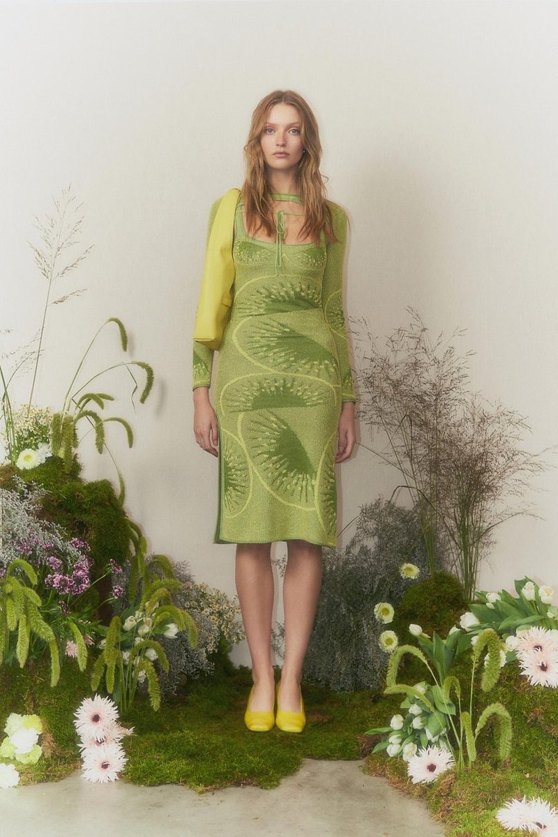 Falling Kiwis Sleeve - Kiwi