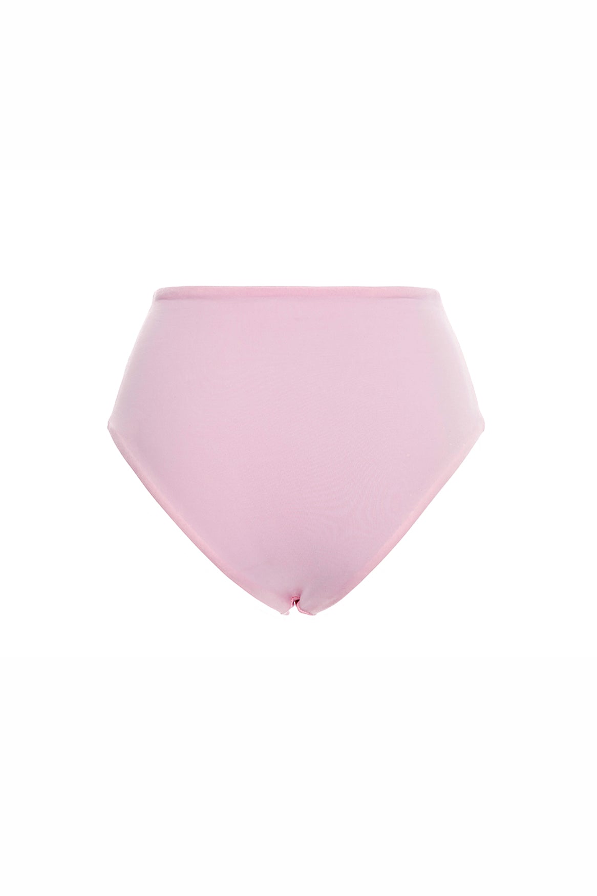 Java-Alicia-Bikini-Bottom-10121-back