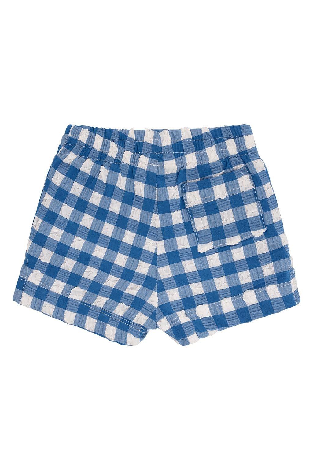 Blue Gingham Mini Swim Trunk