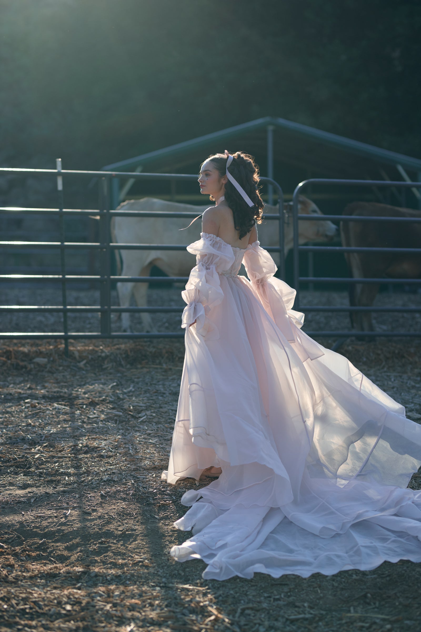 The Blush Capulet Gown