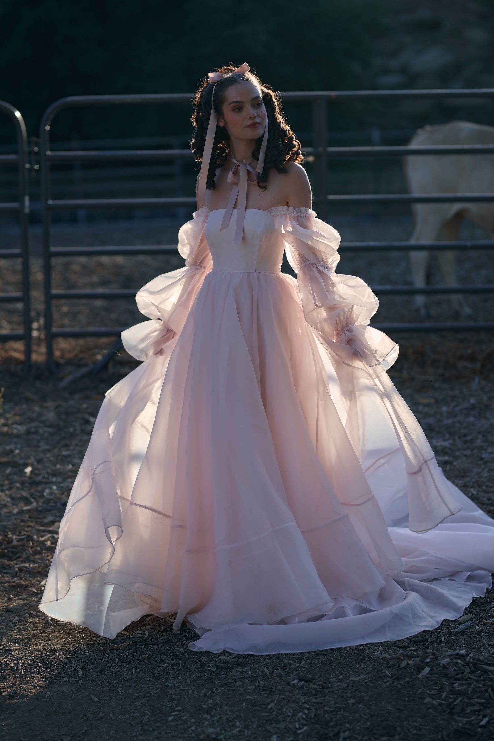 The Blush Capulet Gown