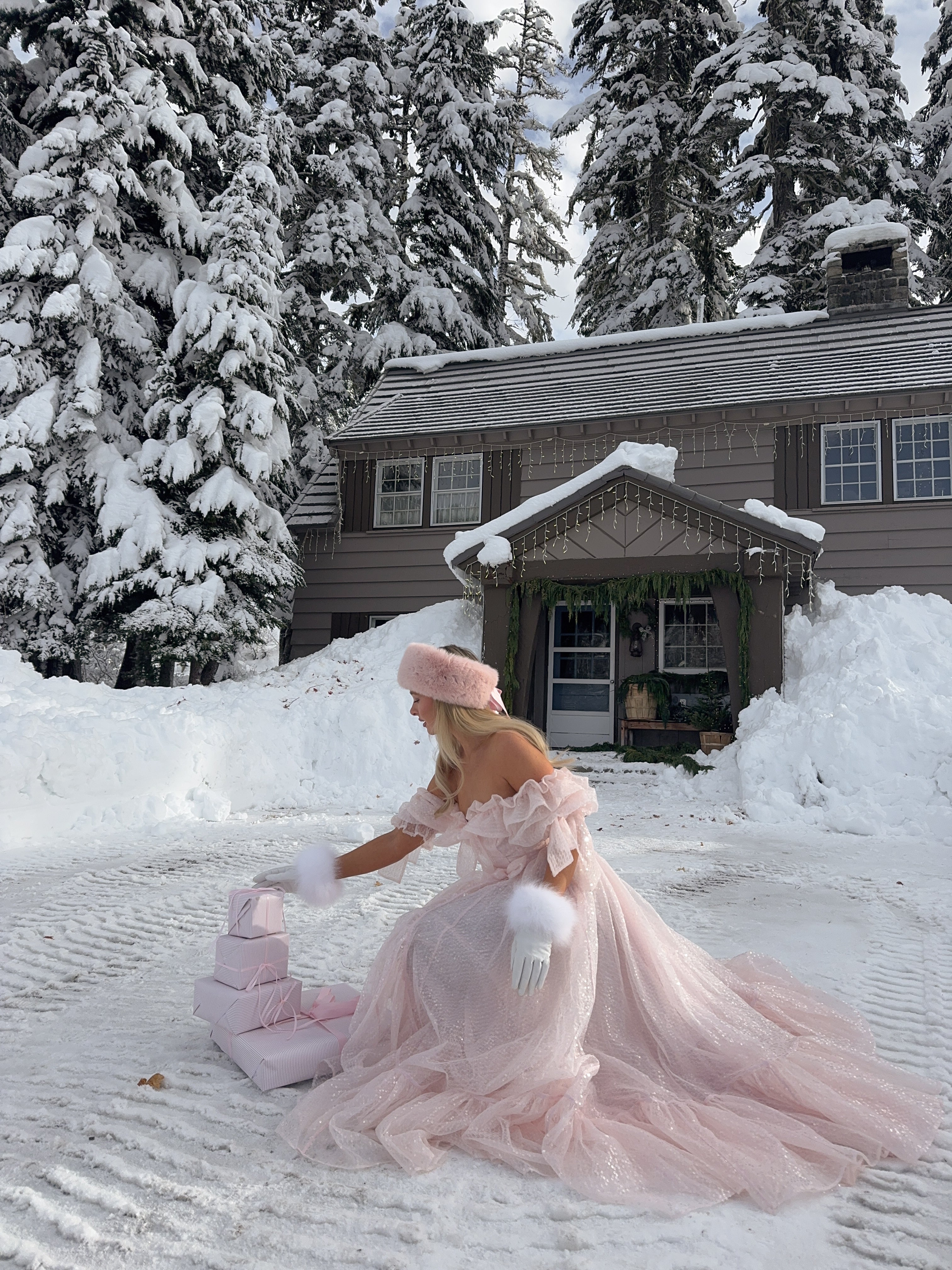 The Sparkling Carriage Gown