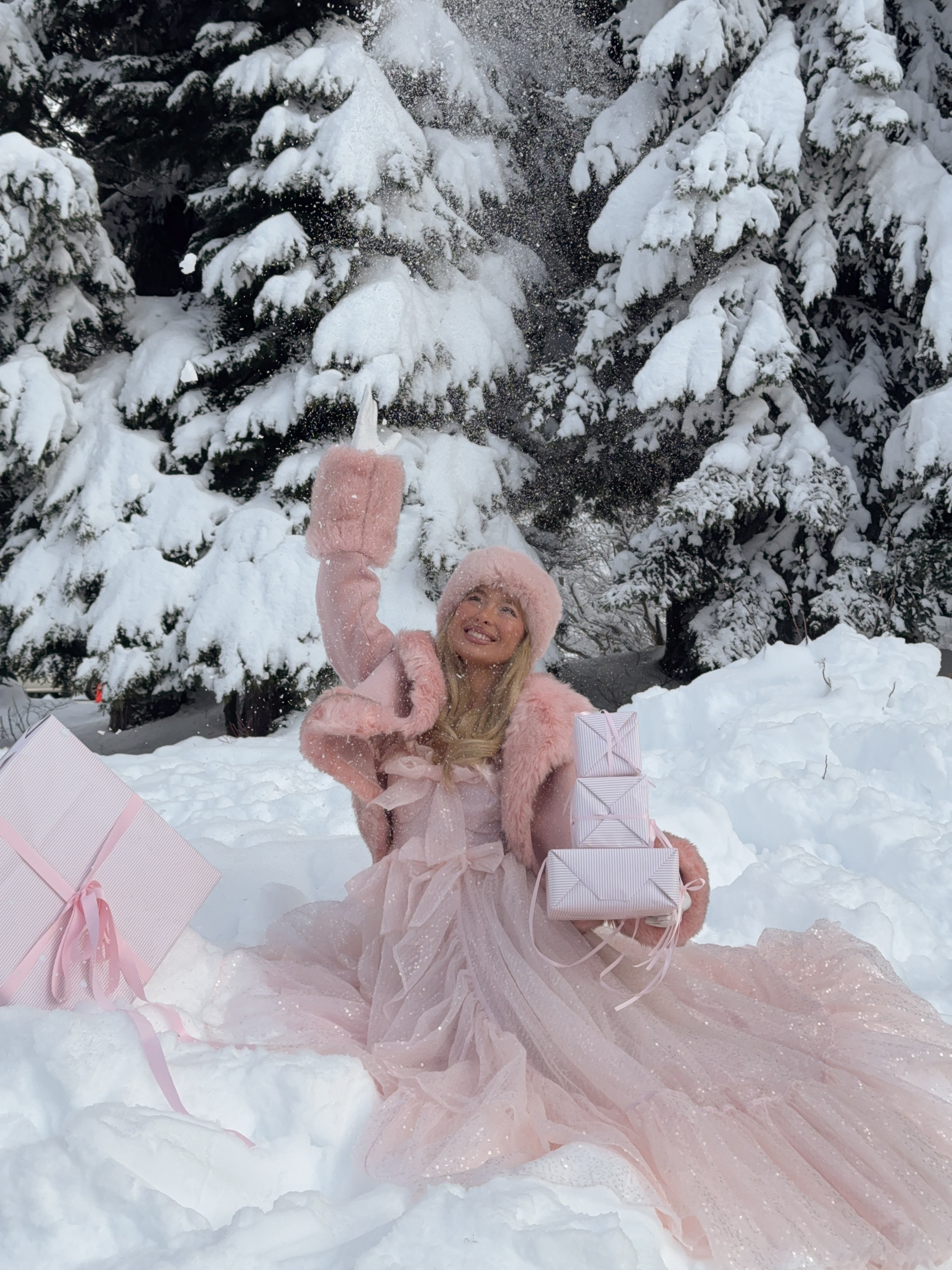 The Sparkling Carriage Gown