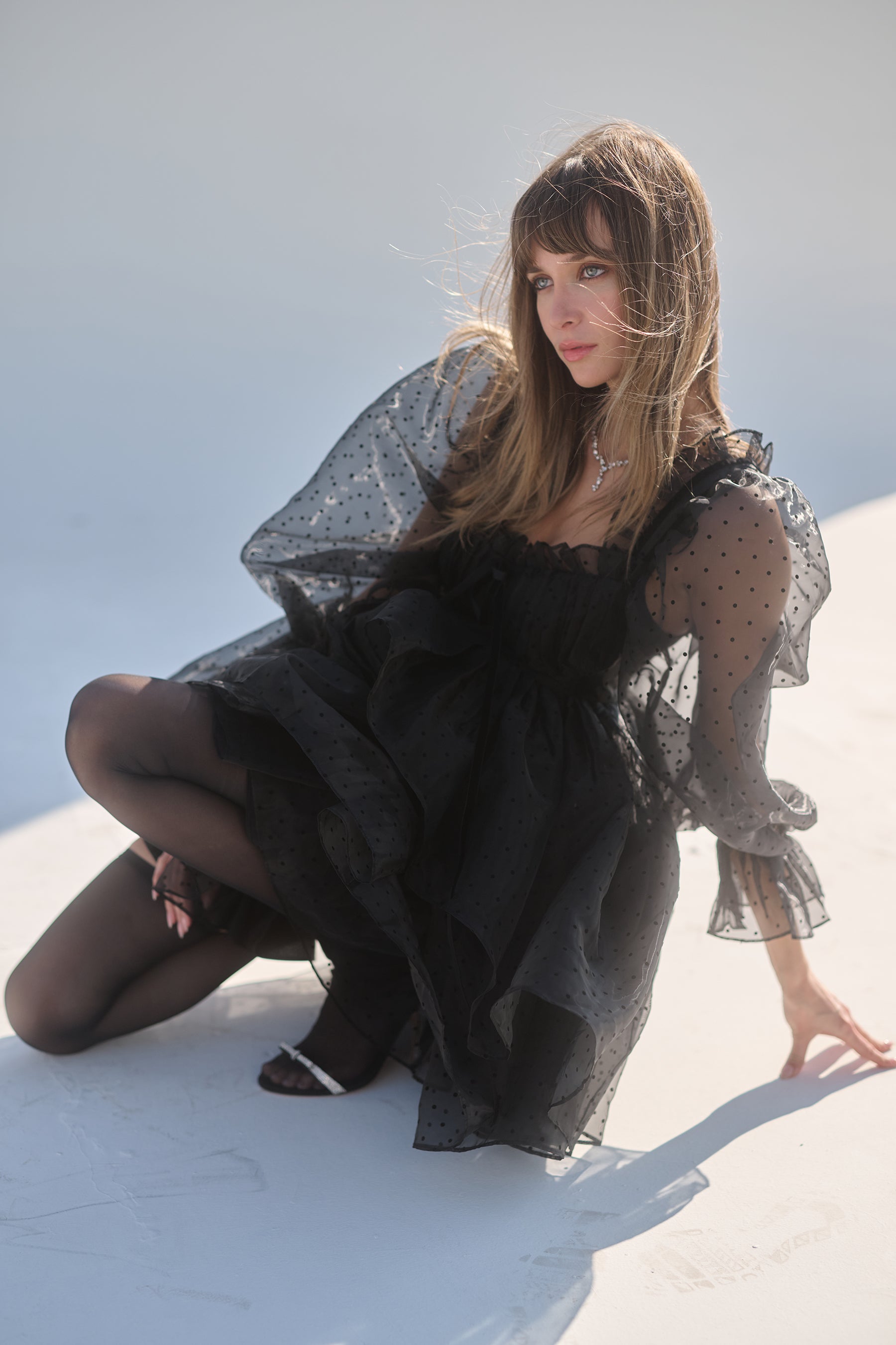 The Caviar Party Ever After