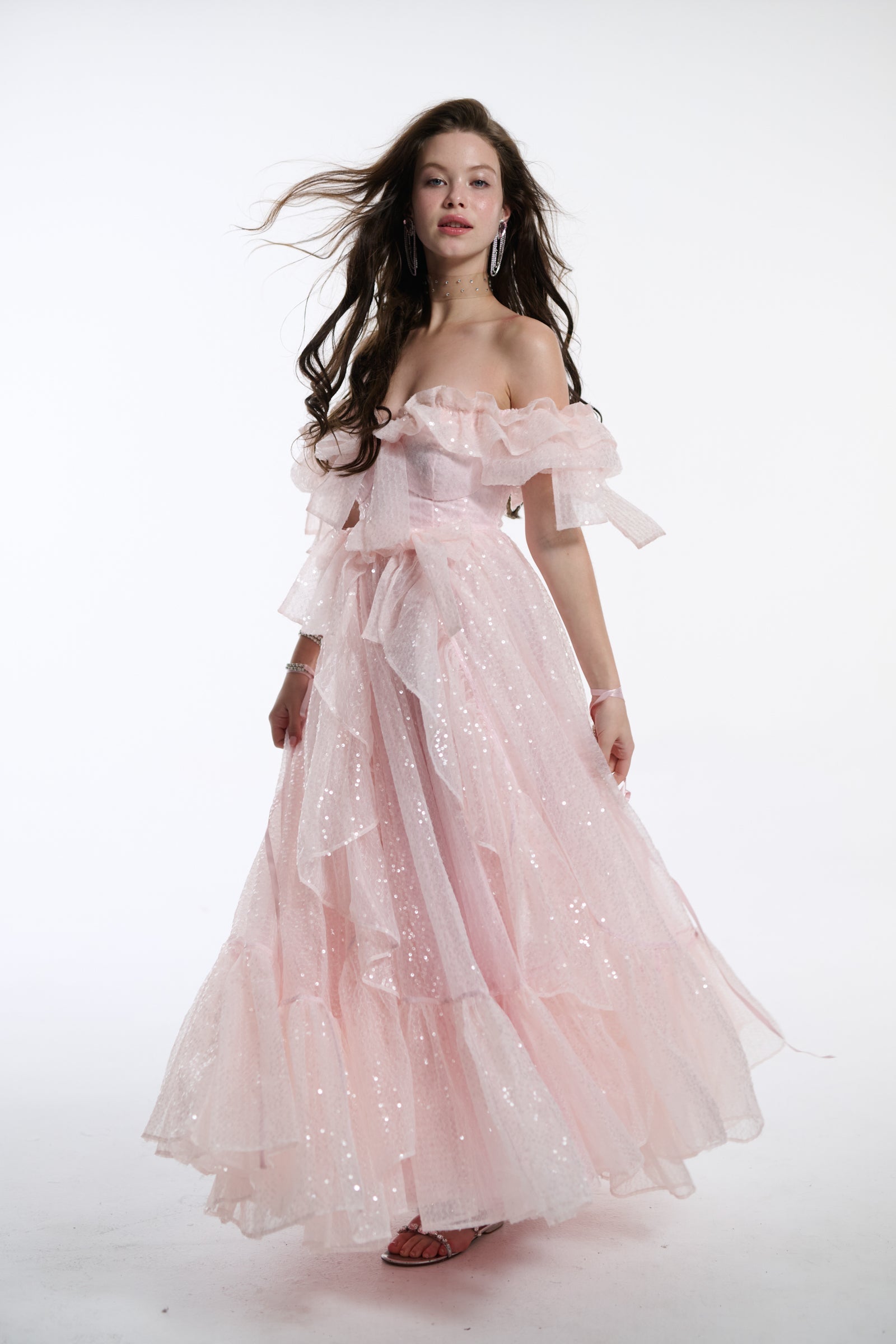 The Sparkling Carriage Gown