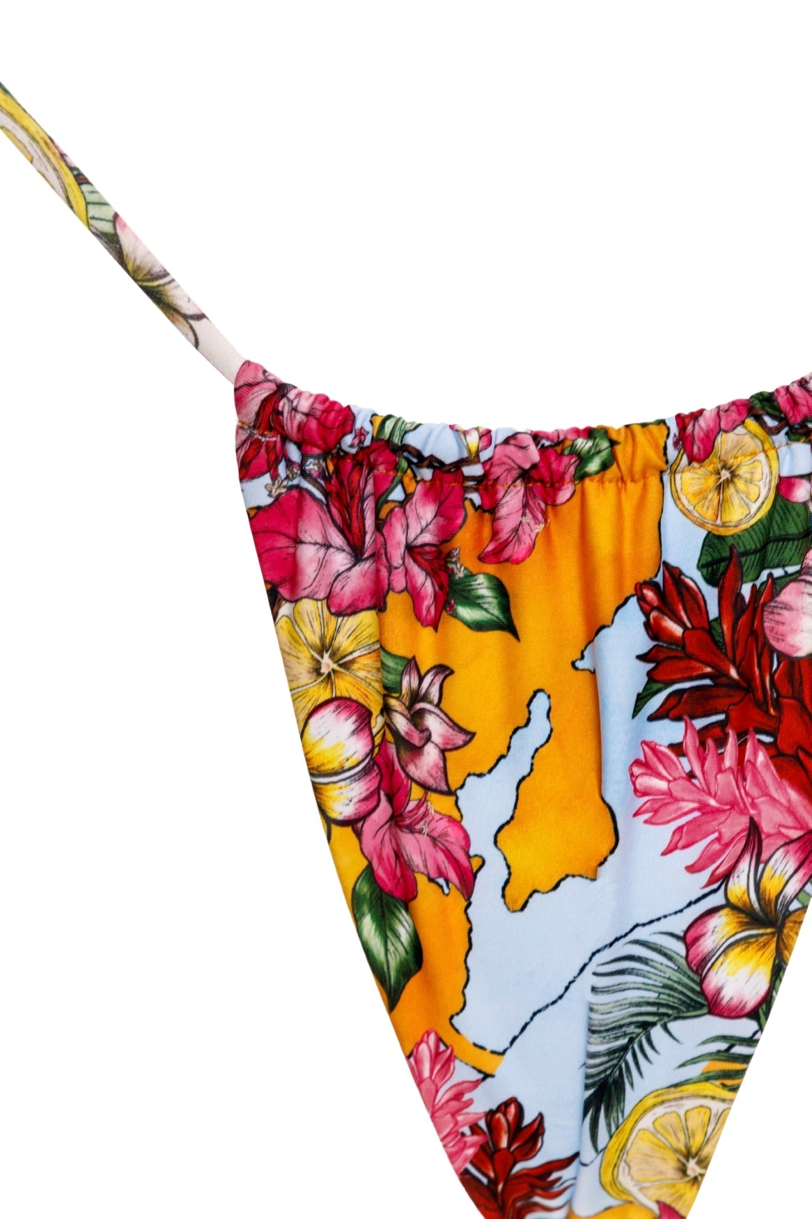 Ventura-alexis-bikini-bottom-15419-7