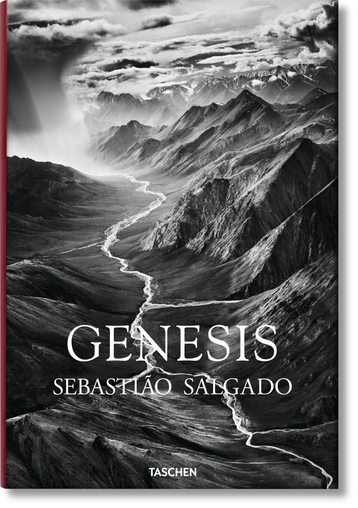 Salgado, Genesis