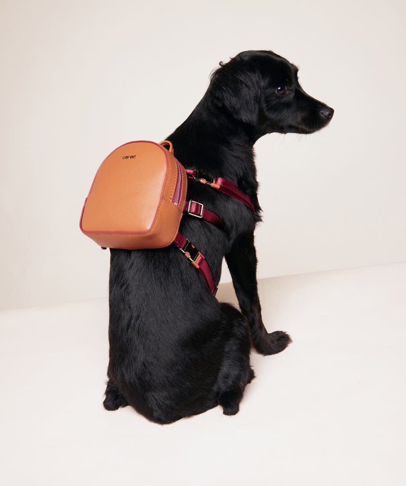 DOG BACKPACK - THE MILLENIAL - in Cognac