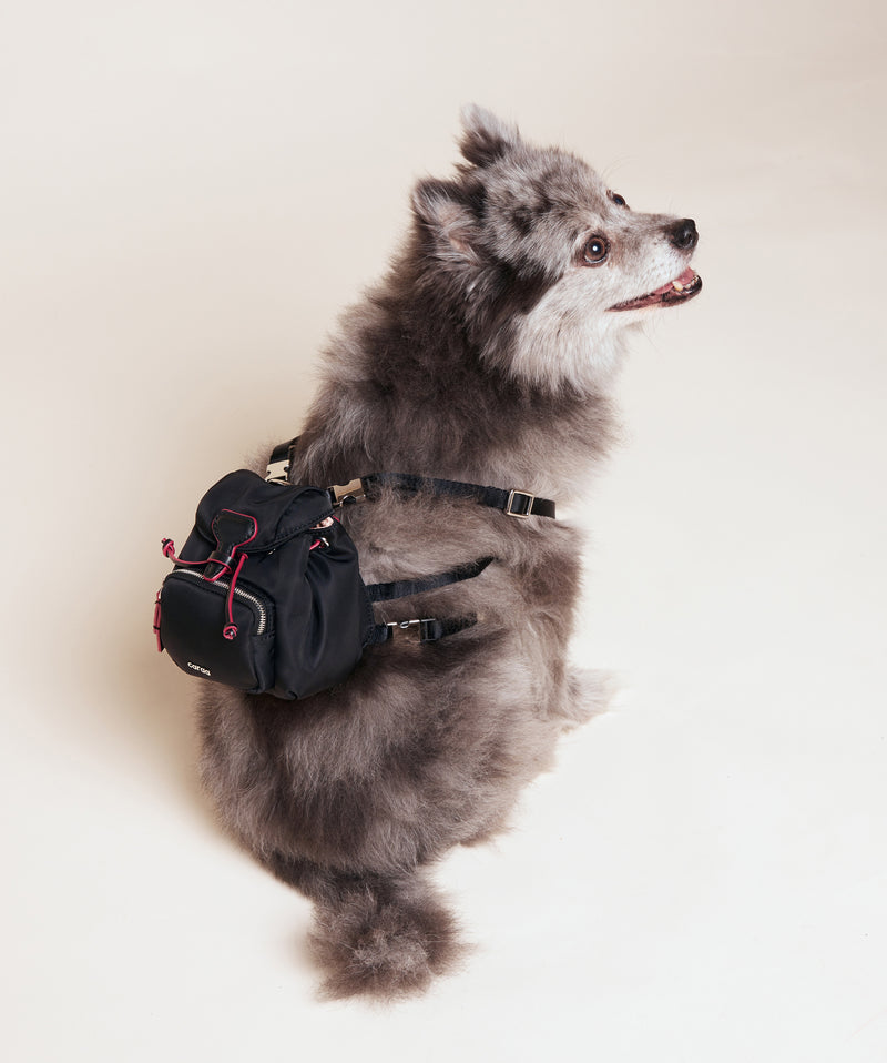 DOG BACKPACK - THE METROPOLITAN - in Black