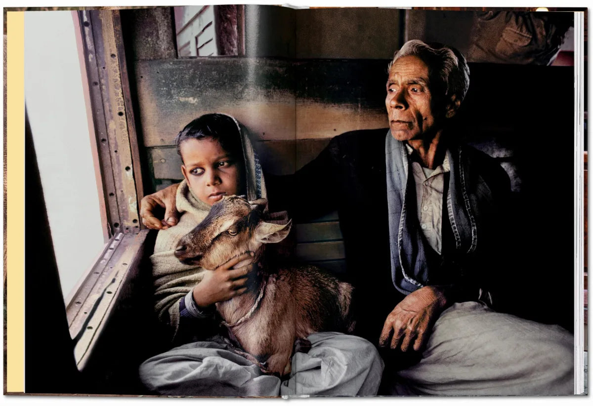 McCurry, Animals (Pocket Series)