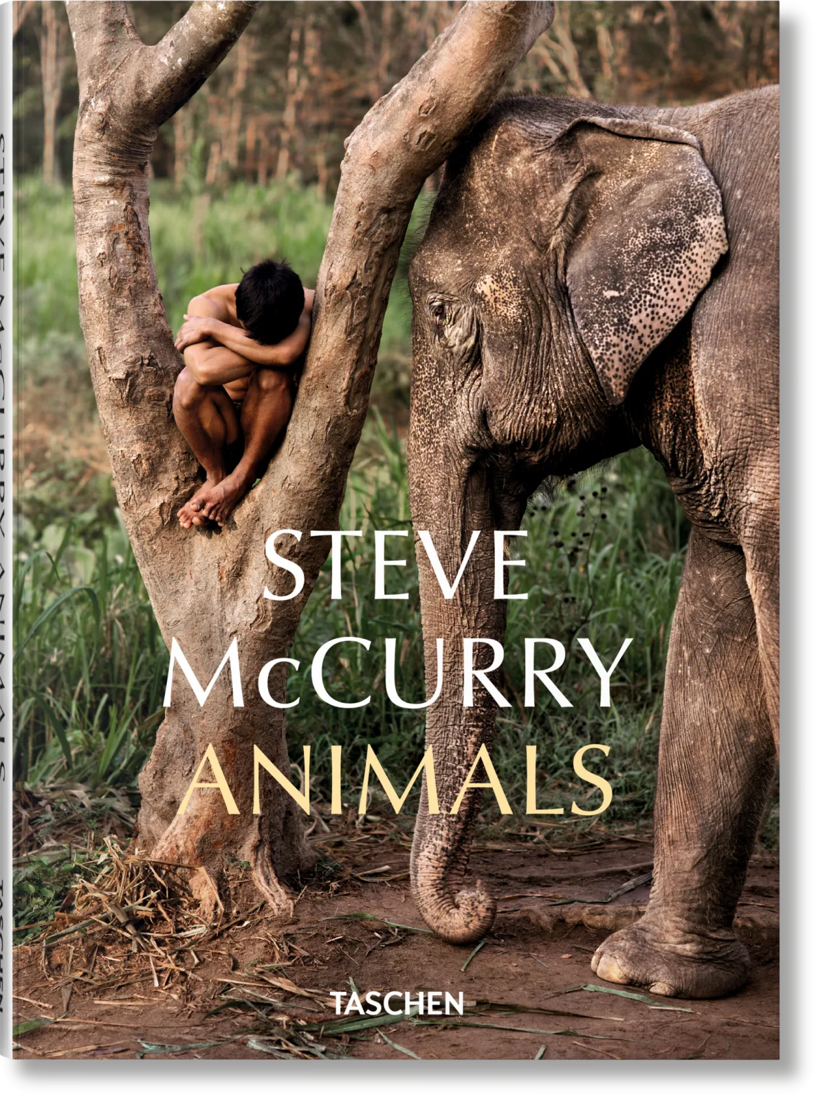 McCurry, Animals (Pocket Series)