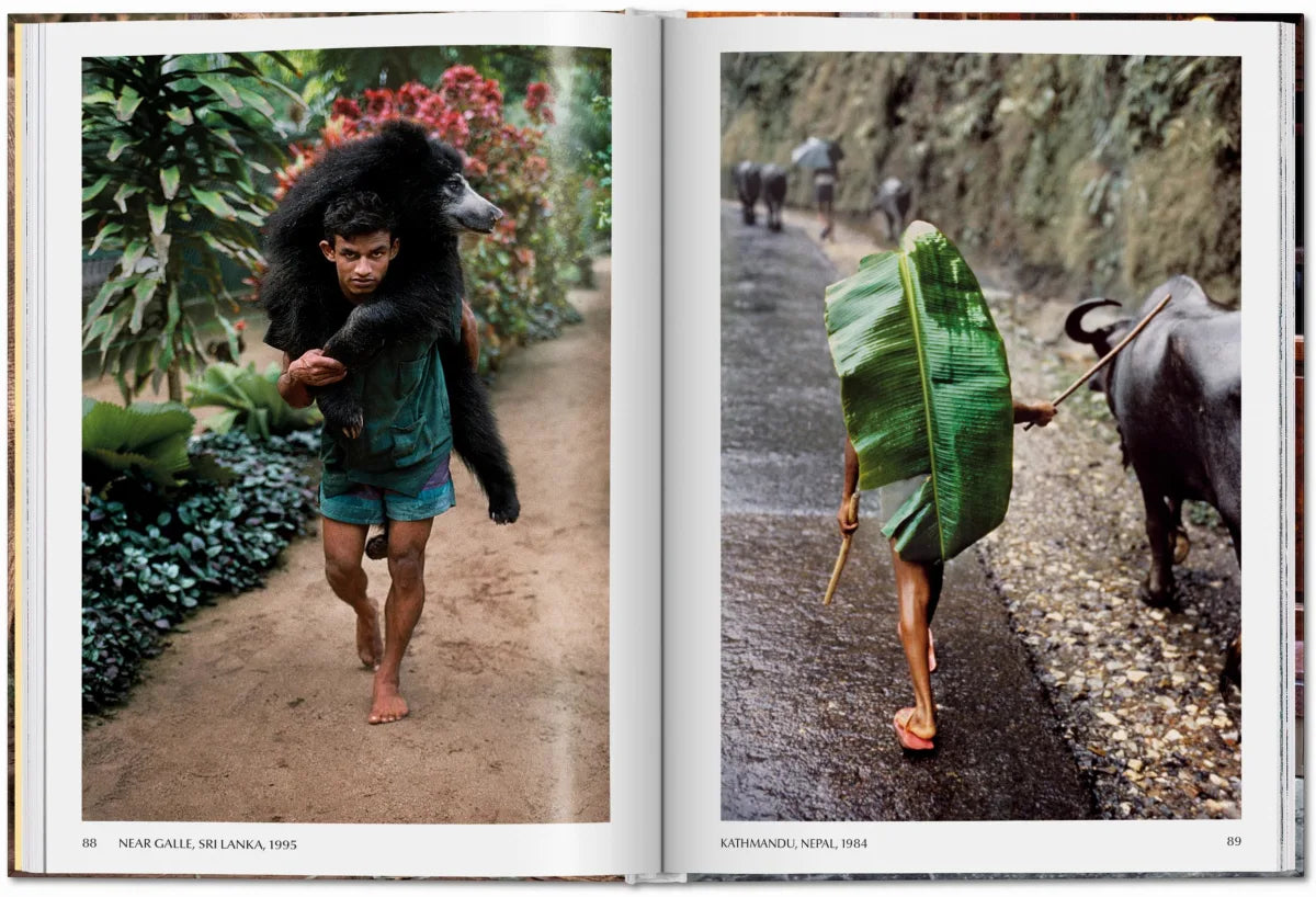 McCurry, Animals (Pocket Series)