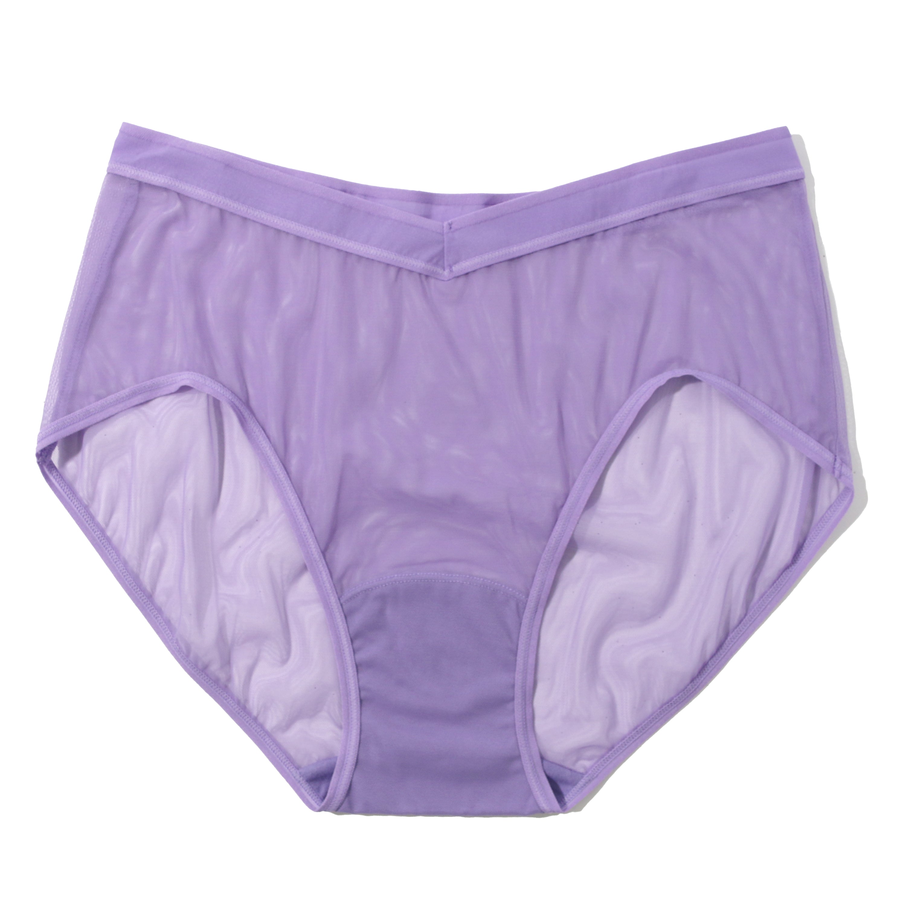 MESH HIGH CUT FRENCH BRIEF