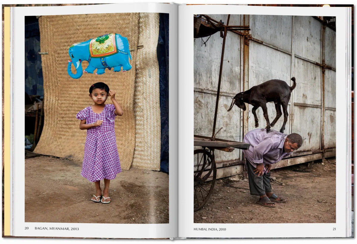 McCurry, Animals (Pocket Series)