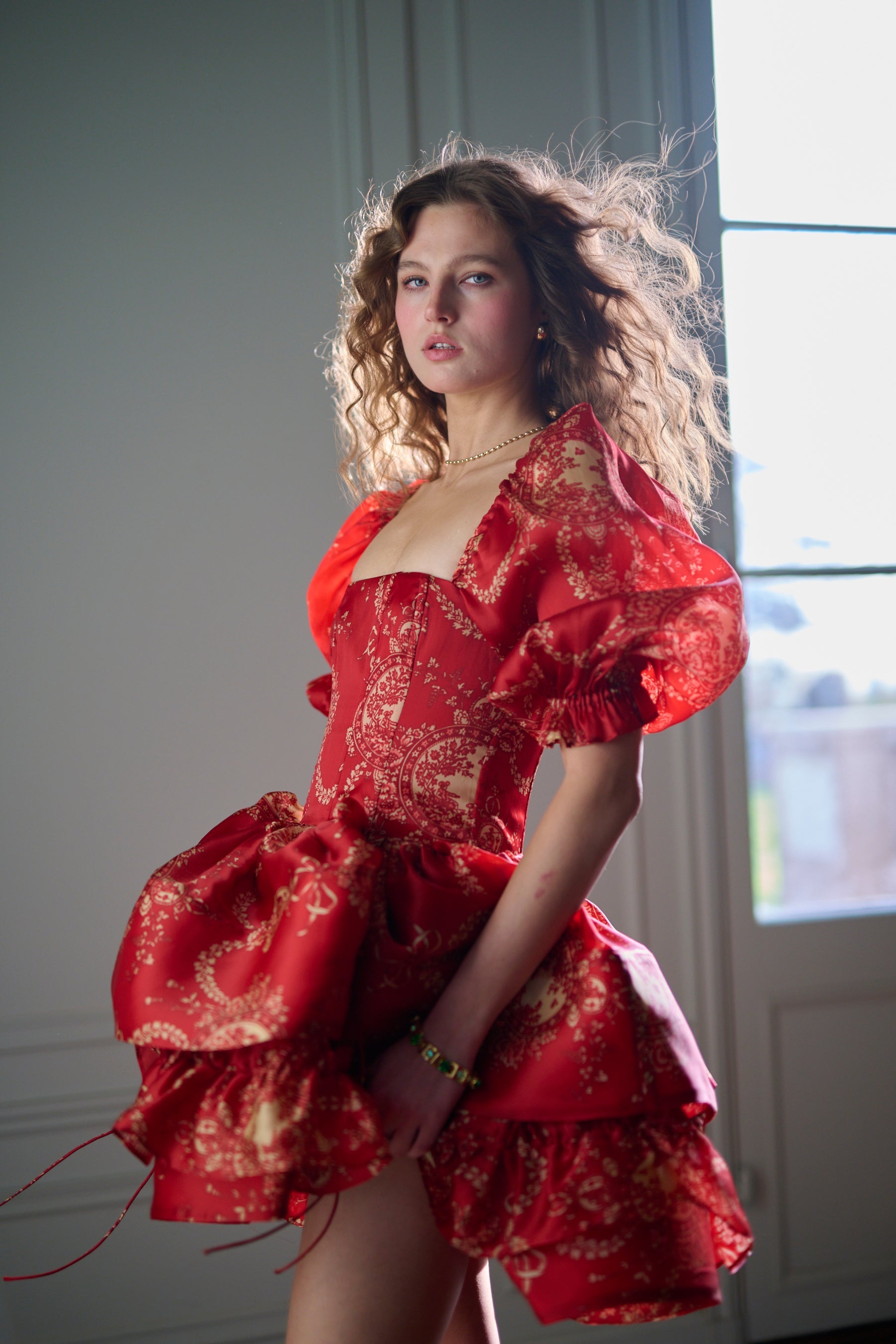 The Ornament Etoile Dress