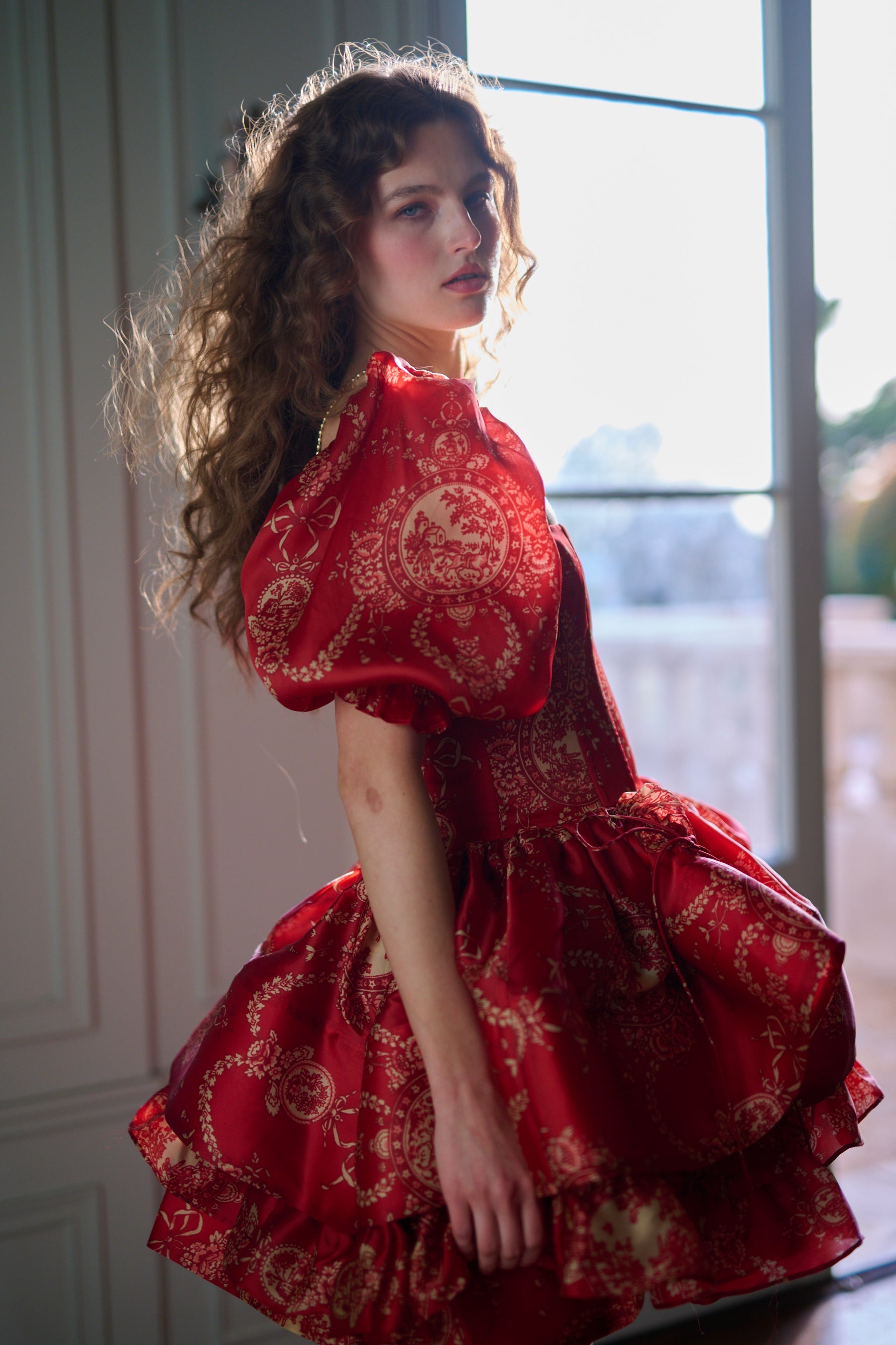 The Ornament Etoile Dress