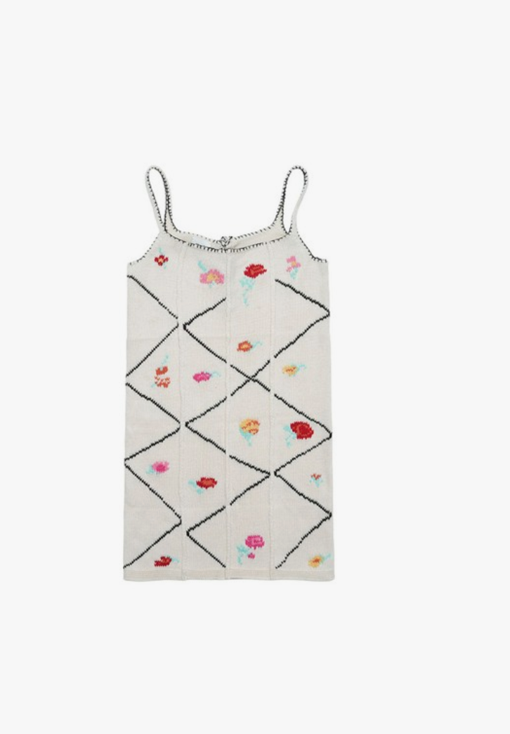 Arya Dress