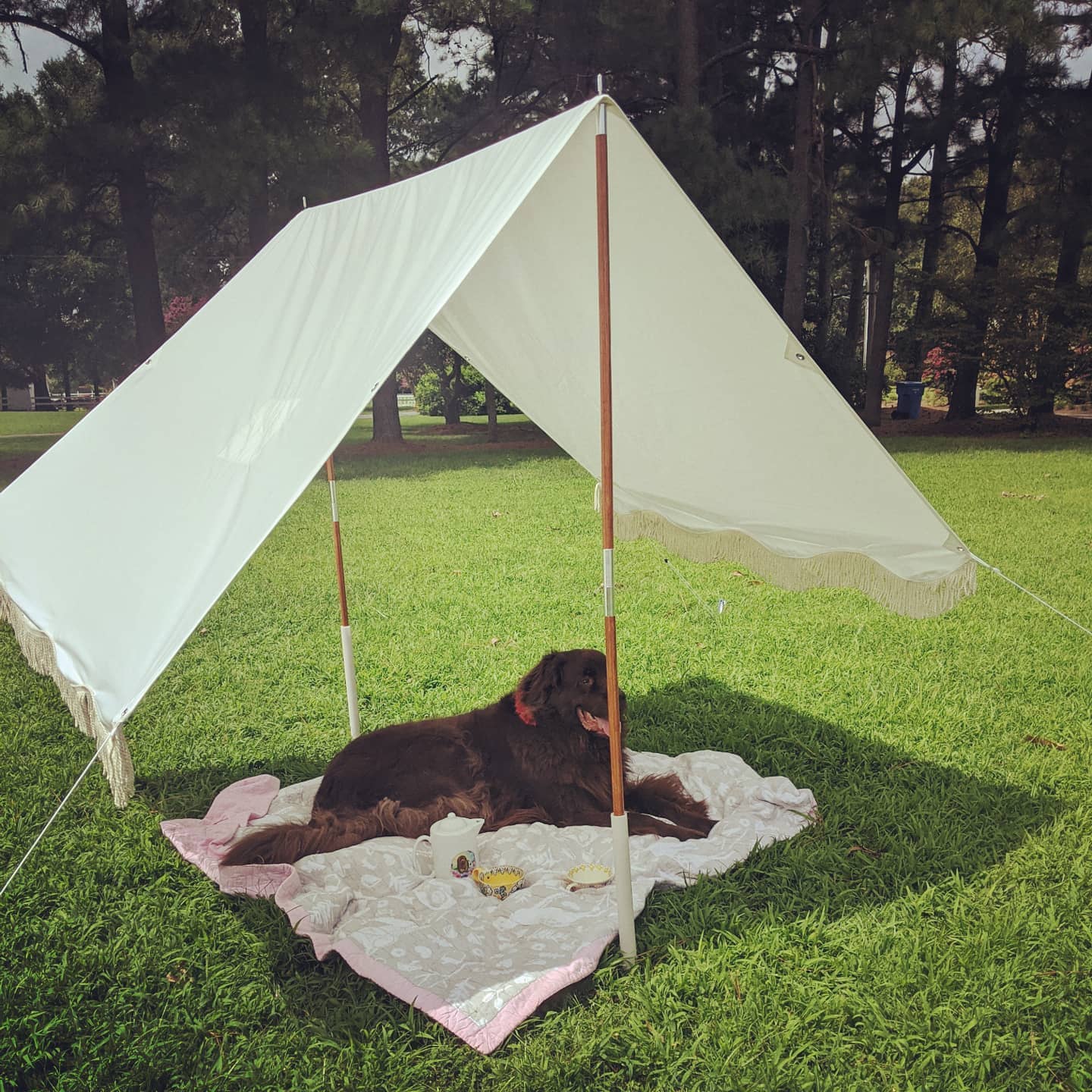 The Premium Beach Tent - Antique White Premium Beach Tent Business & Pleasure Co 