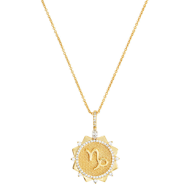 Zodiac Sparkle - Capricorn Necklace