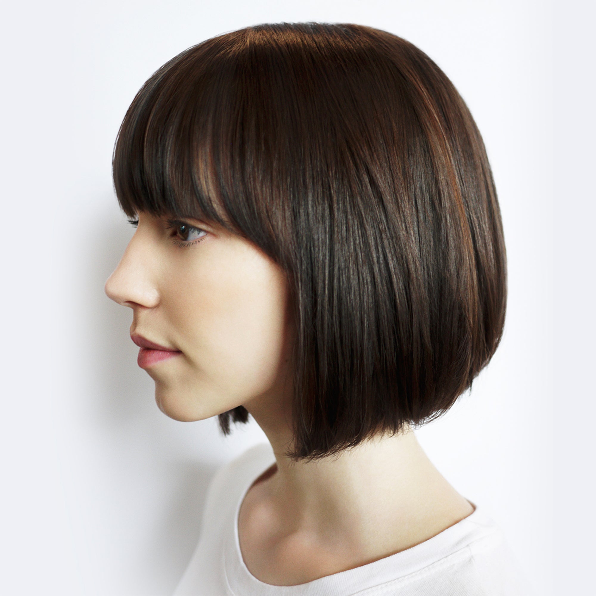 DALLAS Thickening Concentrate (set of 12)