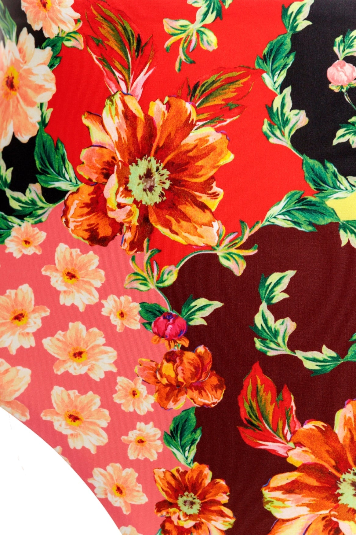 Dawn-alicia-bikini-bottom-16730-6