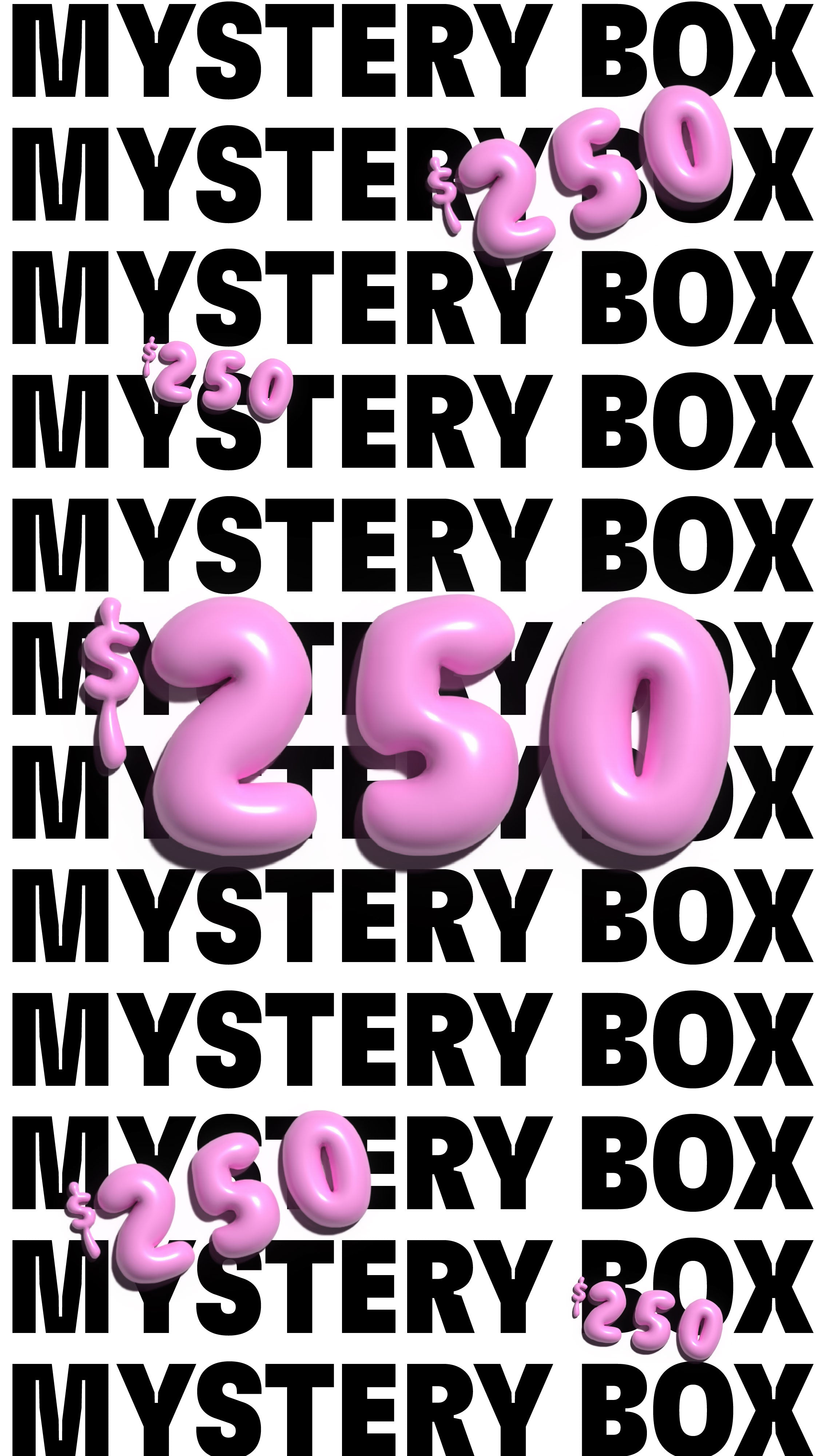 $250 Mystery Box (Apparel)