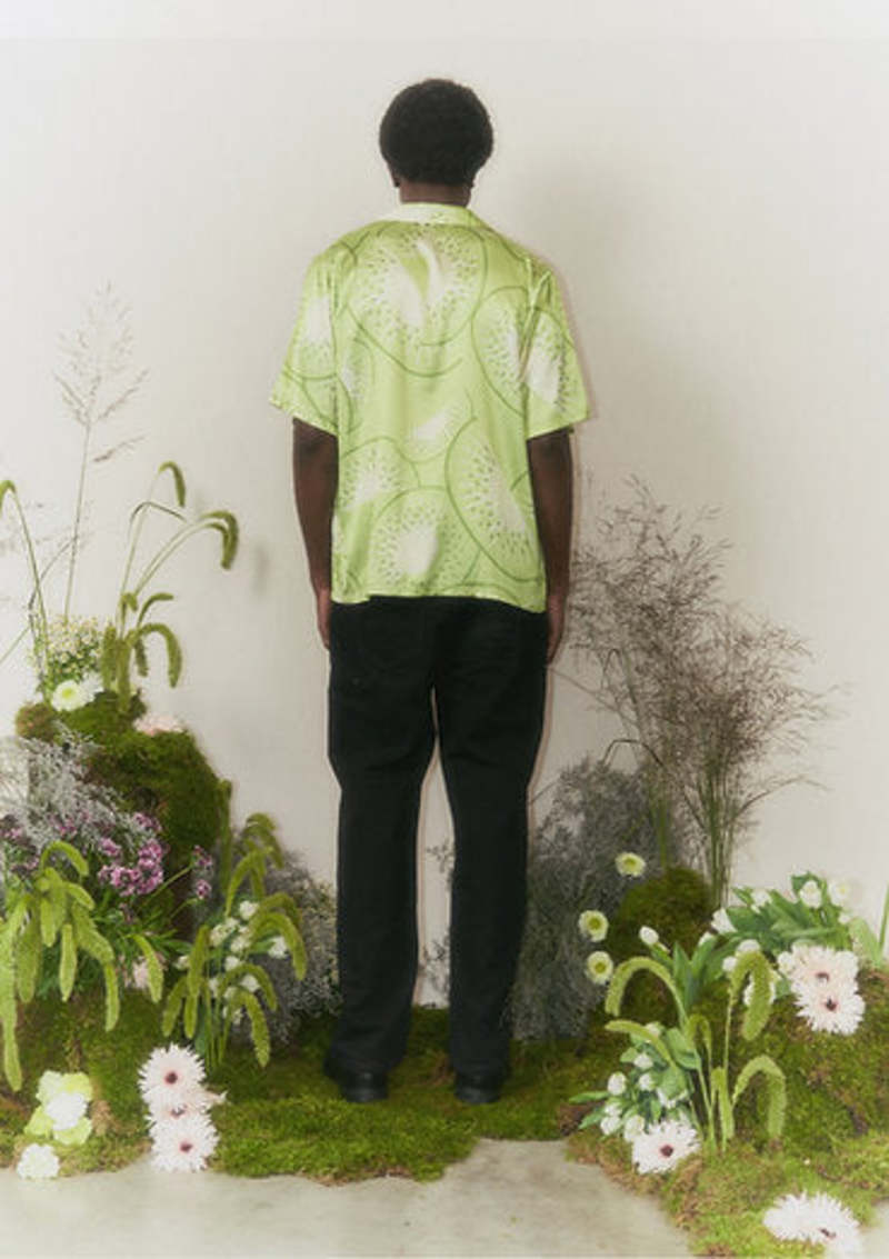 Falling Kiwis Shirt - Kiwi