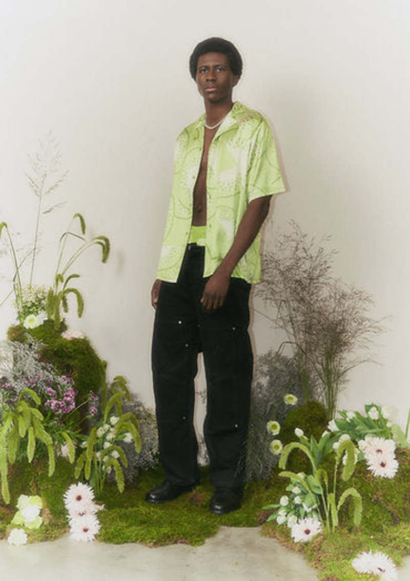 Falling Kiwis Shirt - Kiwi