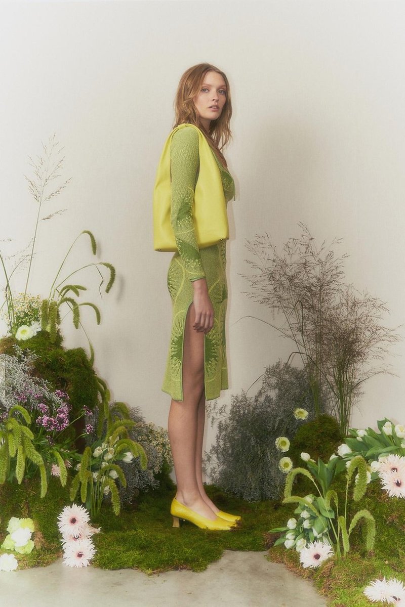 Falling Kiwis Sleeve - Kiwi