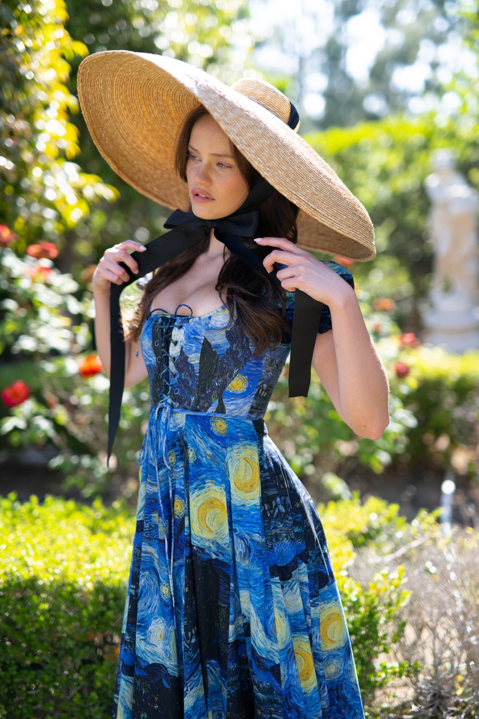 The Starry Night Garden Party Gown