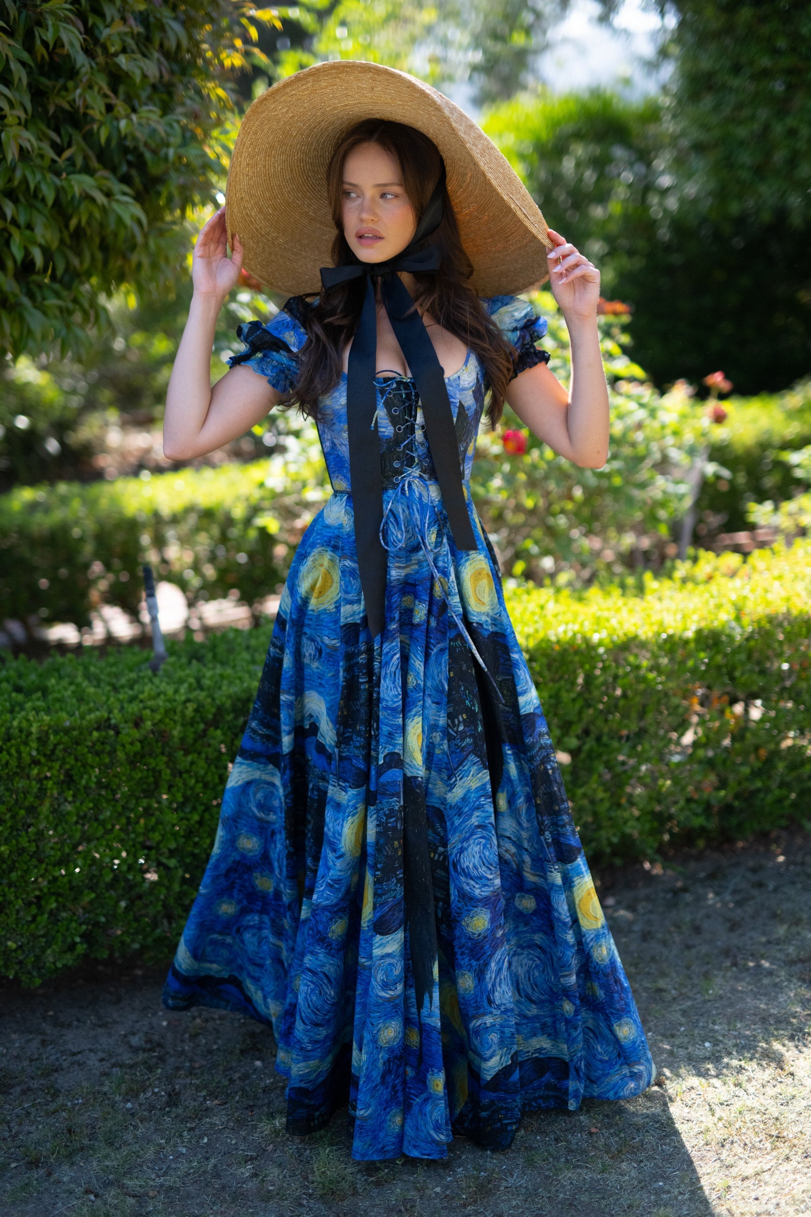 The Starry Night Garden Party Gown