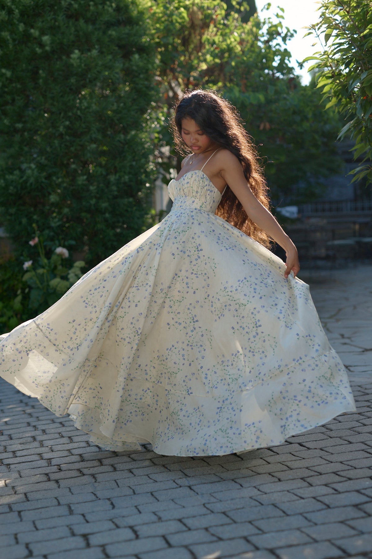 The Blue Vine Roman Holiday Gown