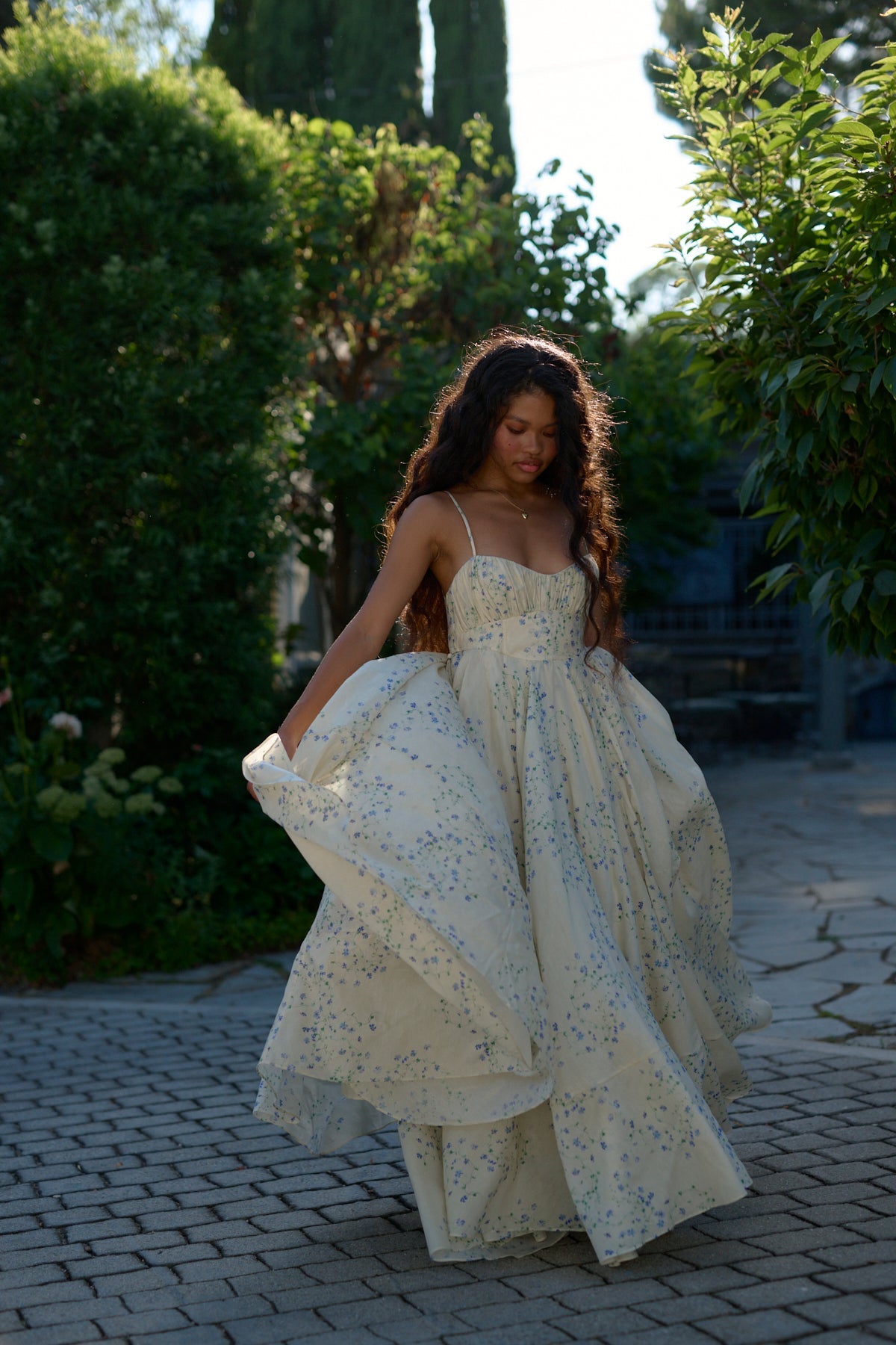 The Blue Vine Roman Holiday Gown