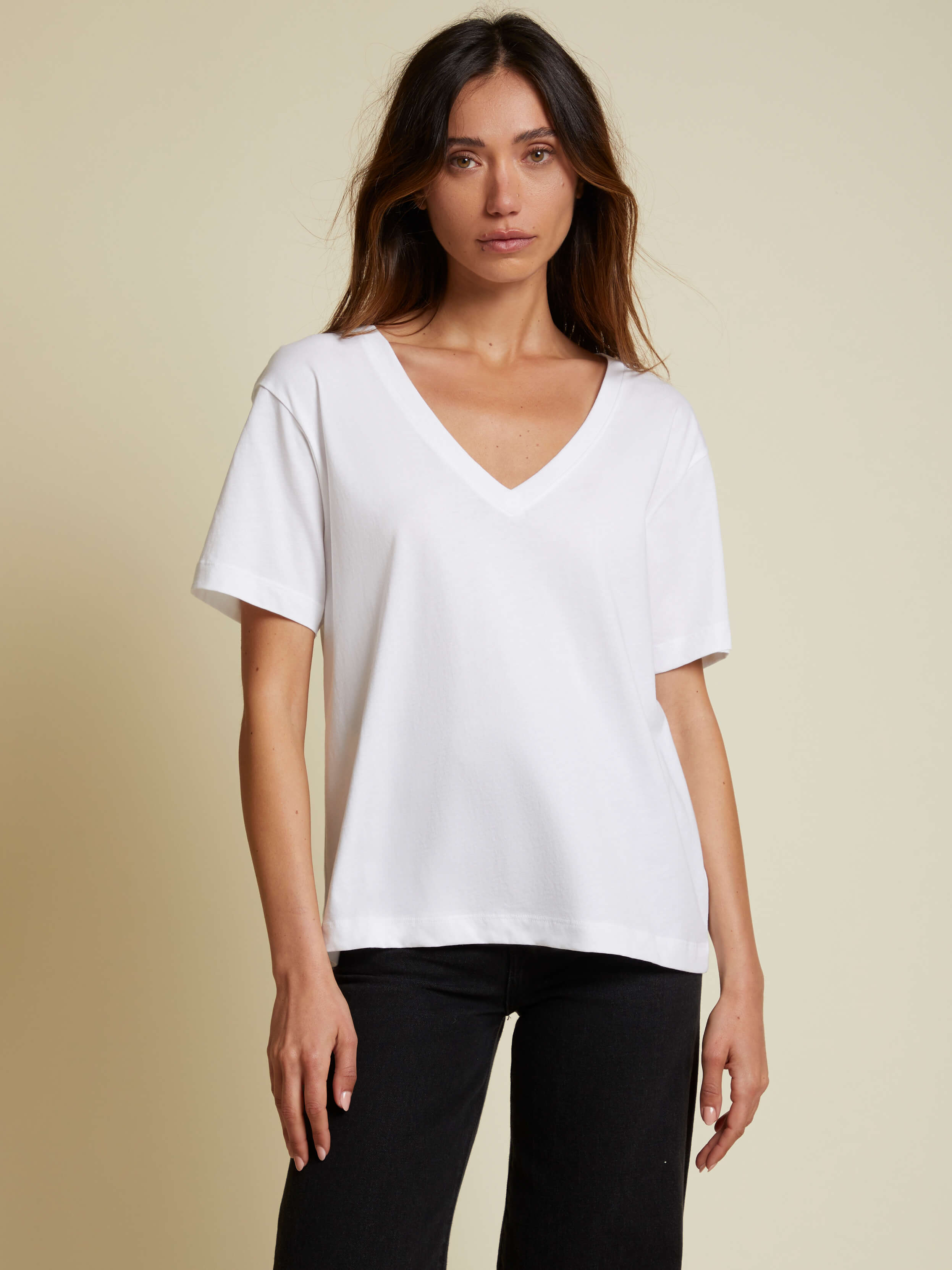 NATION LTD Nina Organic Cotton Vintage Fit V Neck Tee