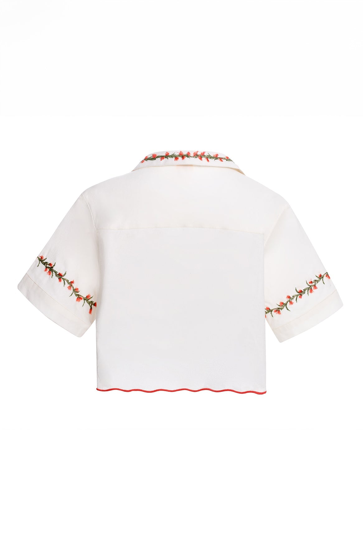 Nacar-itsy-shirt-17871-4