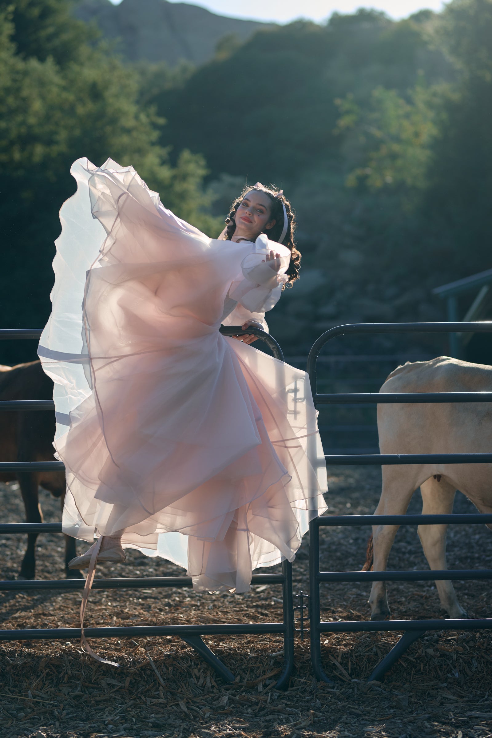 The Blush Capulet Gown
