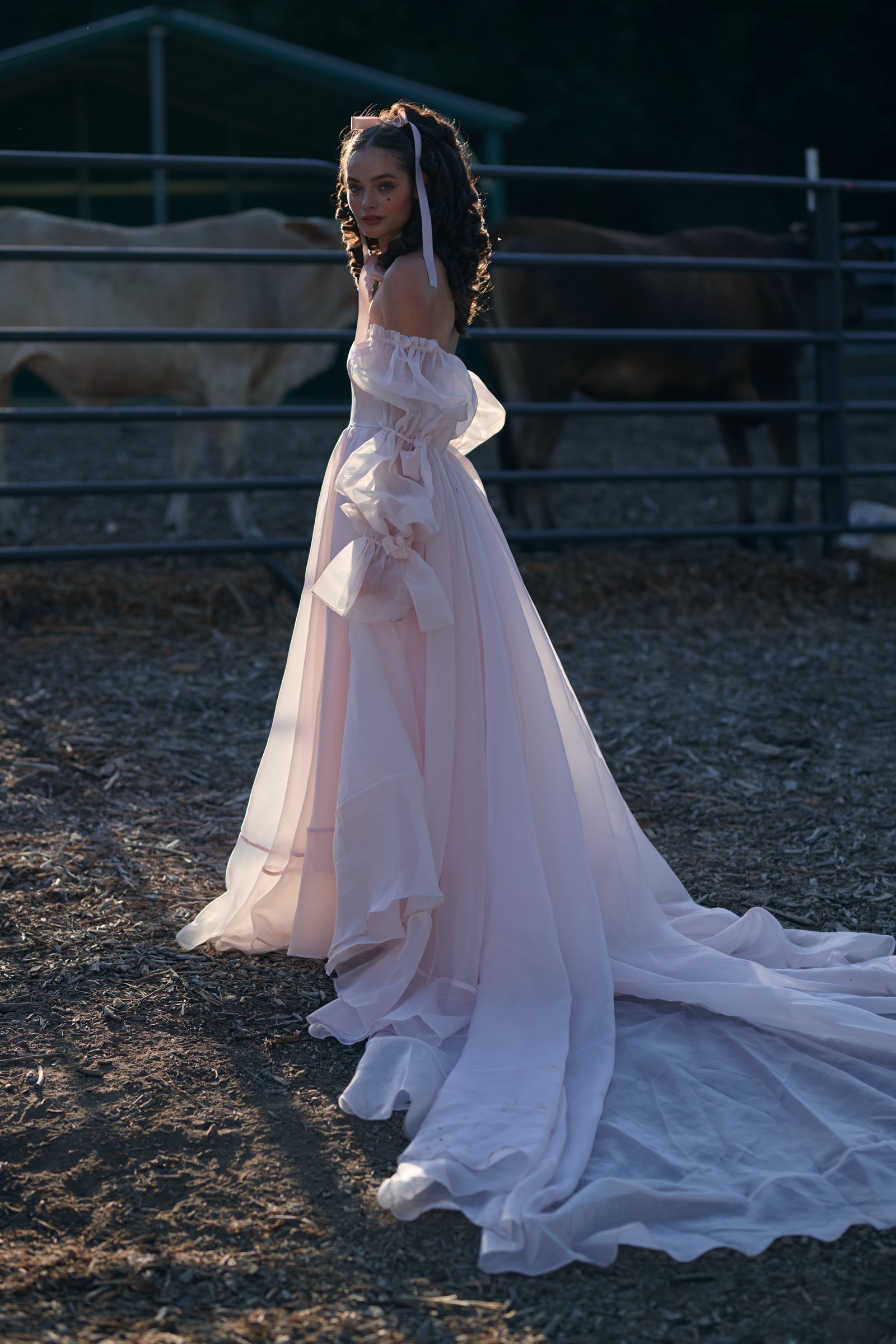 The Blush Capulet Gown