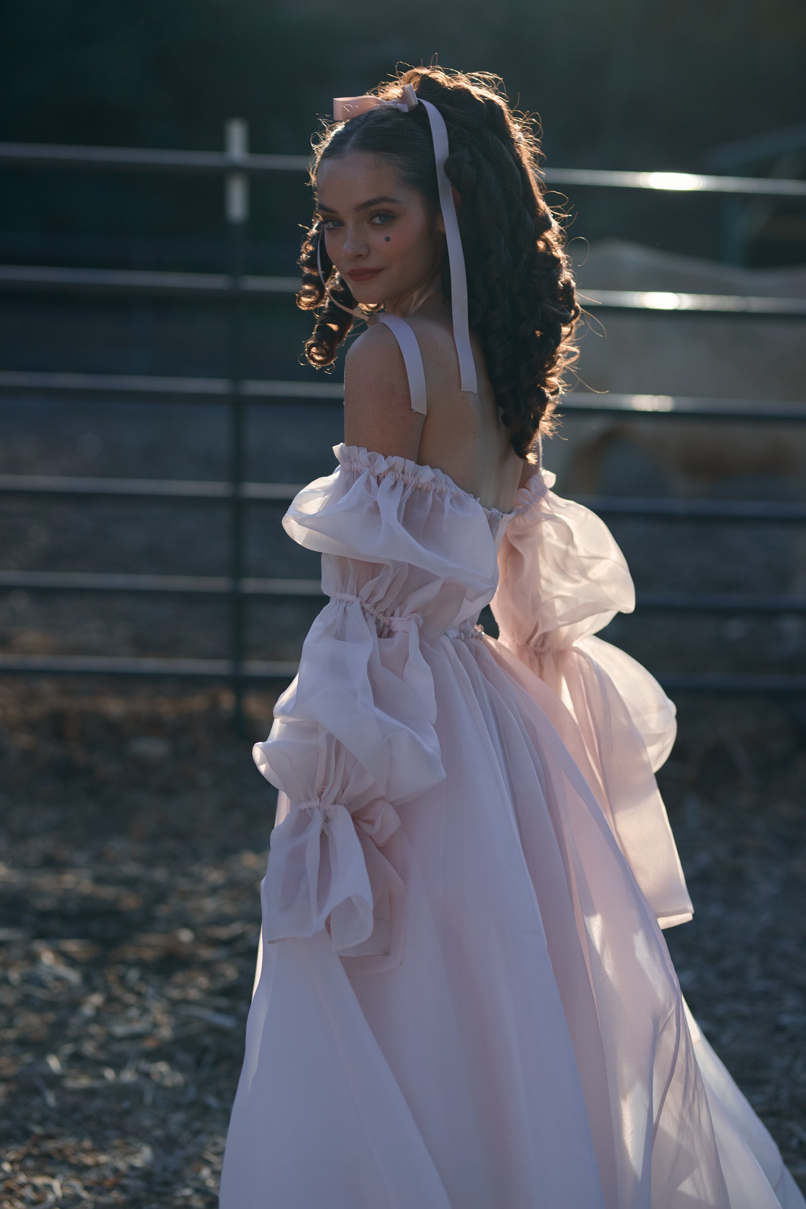 The Blush Capulet Gown