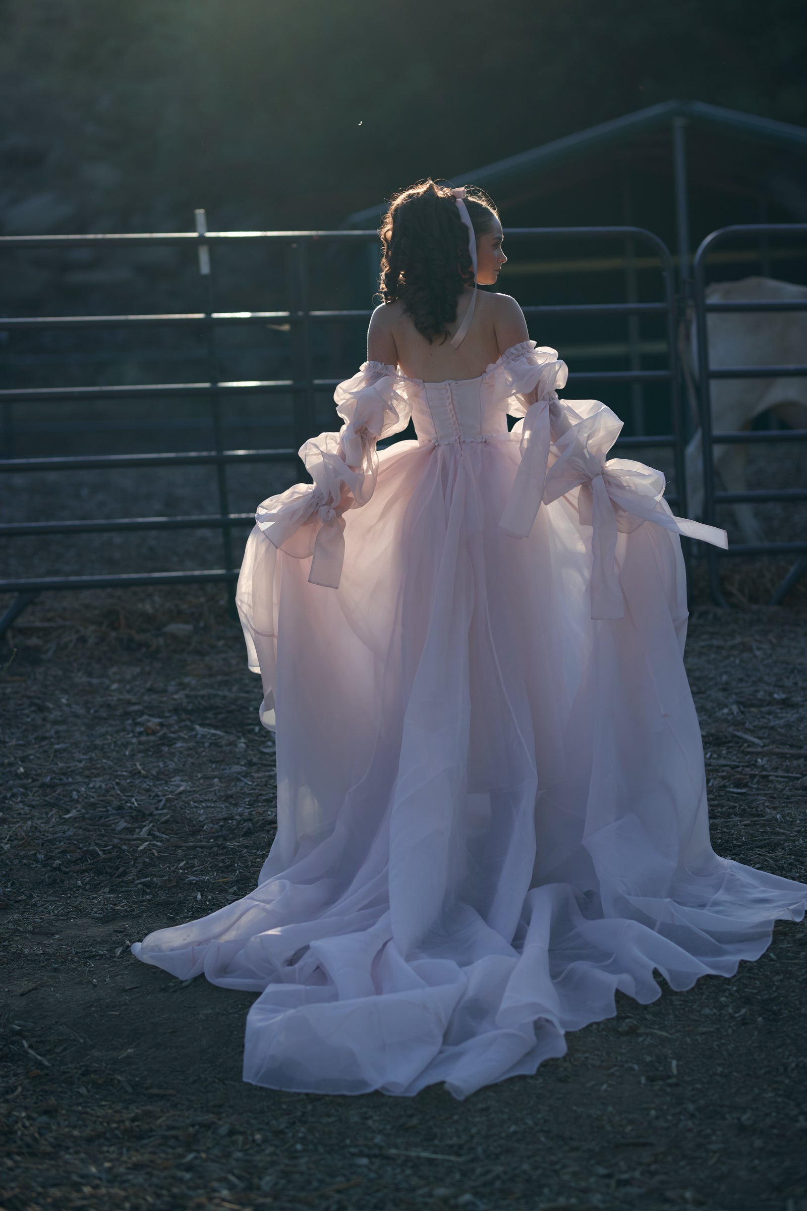 The Blush Capulet Gown