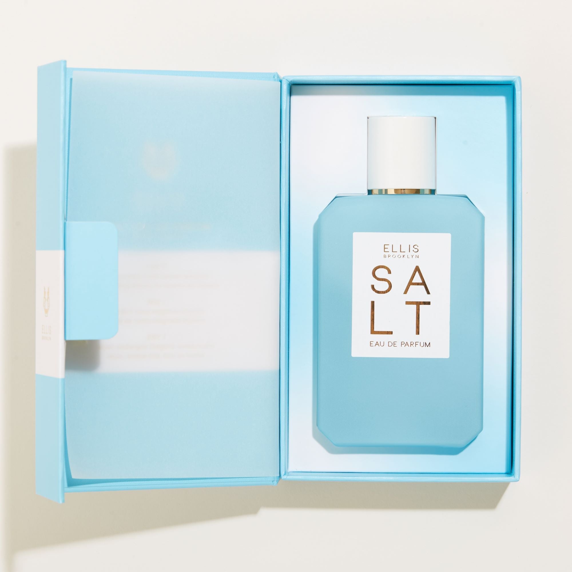 SALT 100ml bottle in box