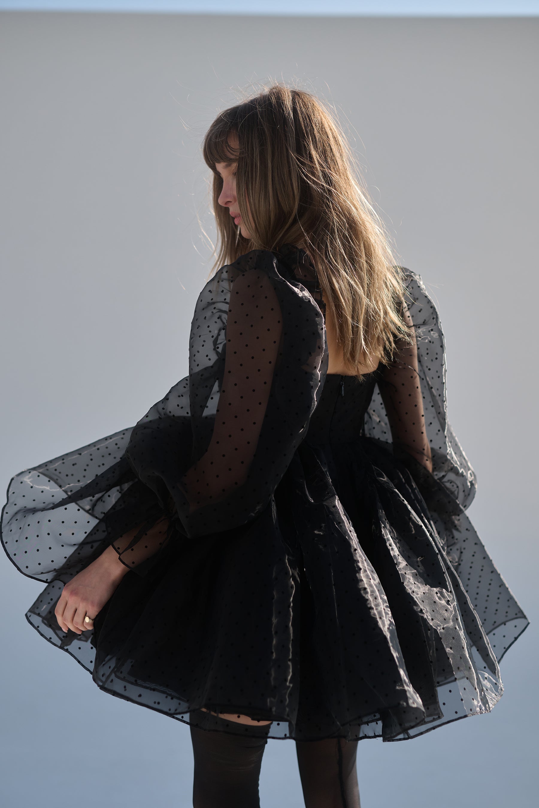 The Caviar Party Ever After