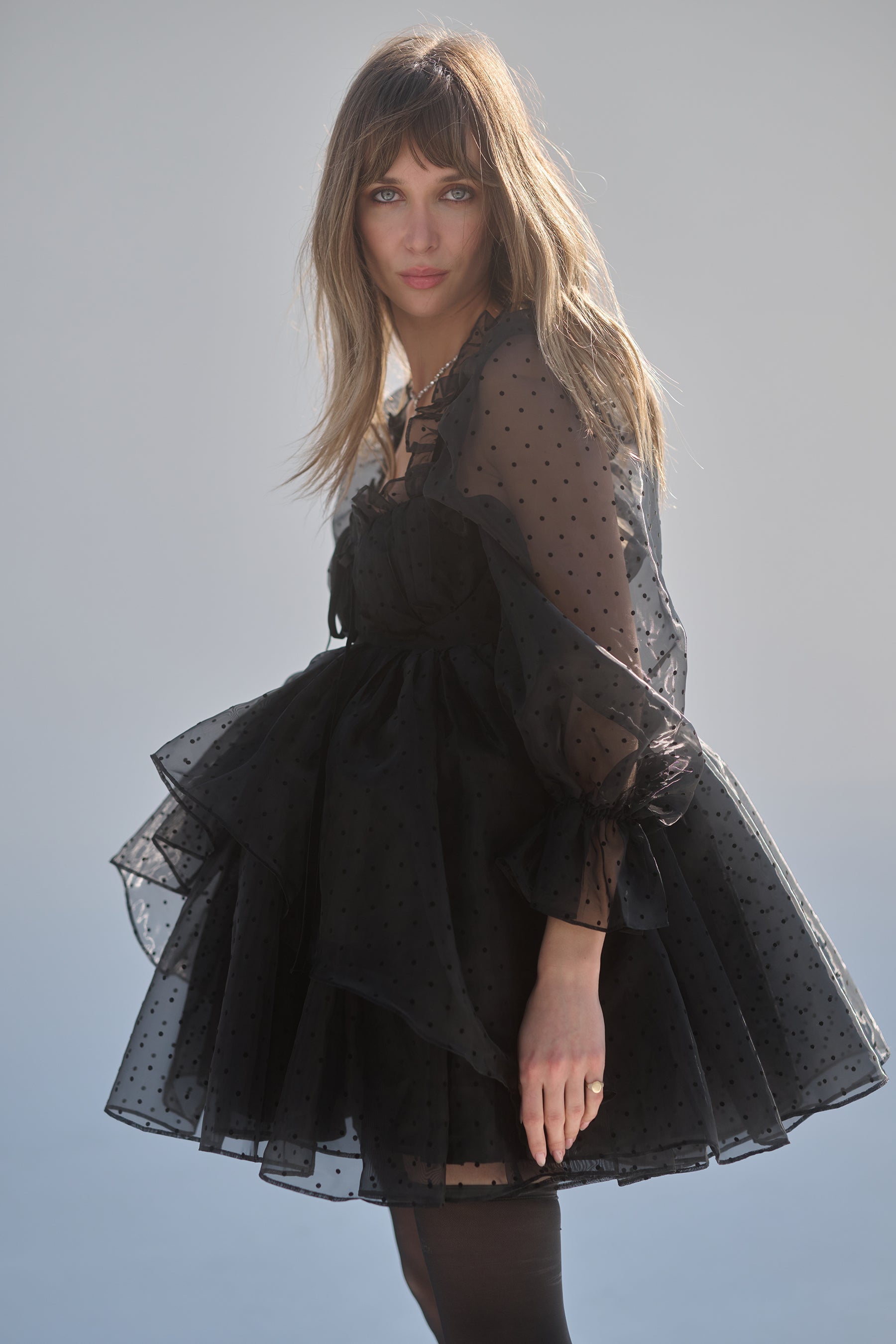 The Caviar Party Ever After