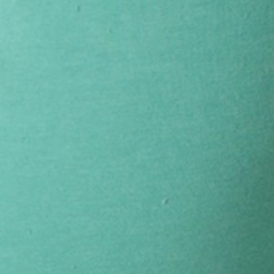Hayden Sherpa Sweatpant - Jade