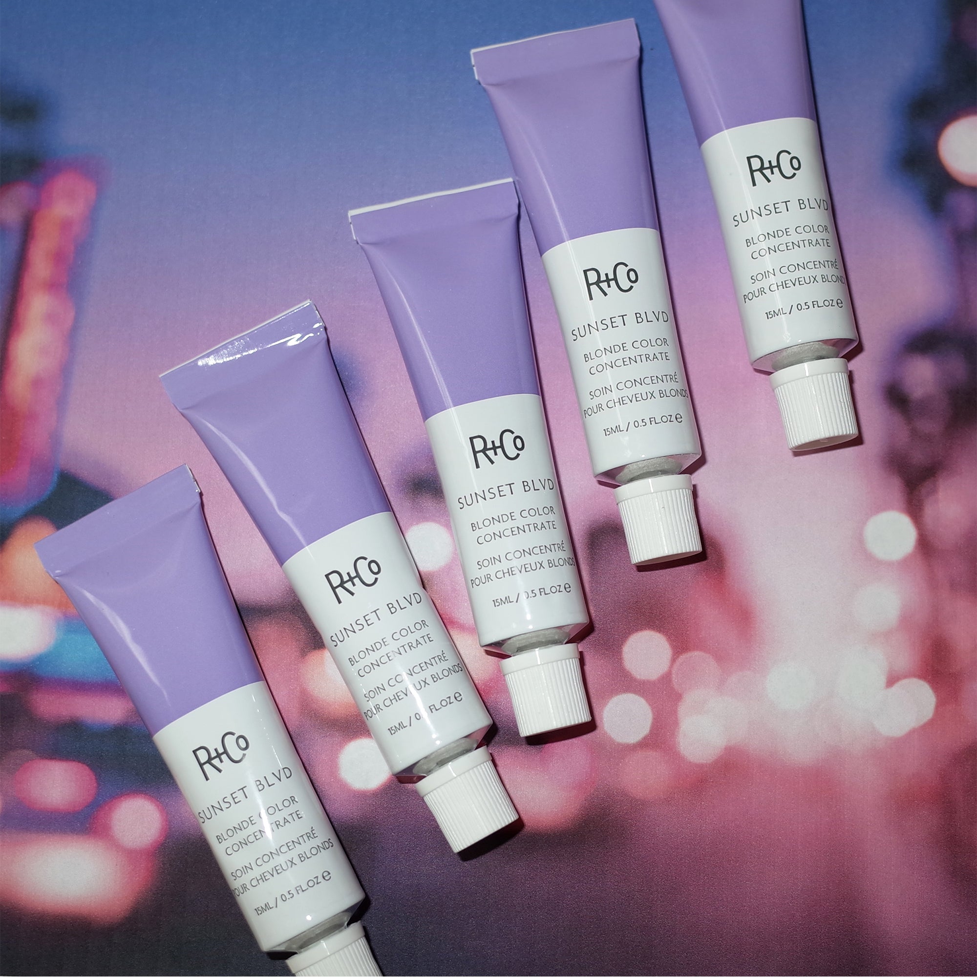 SUNSET BLVD Blonde Concentrate (set of 12)
