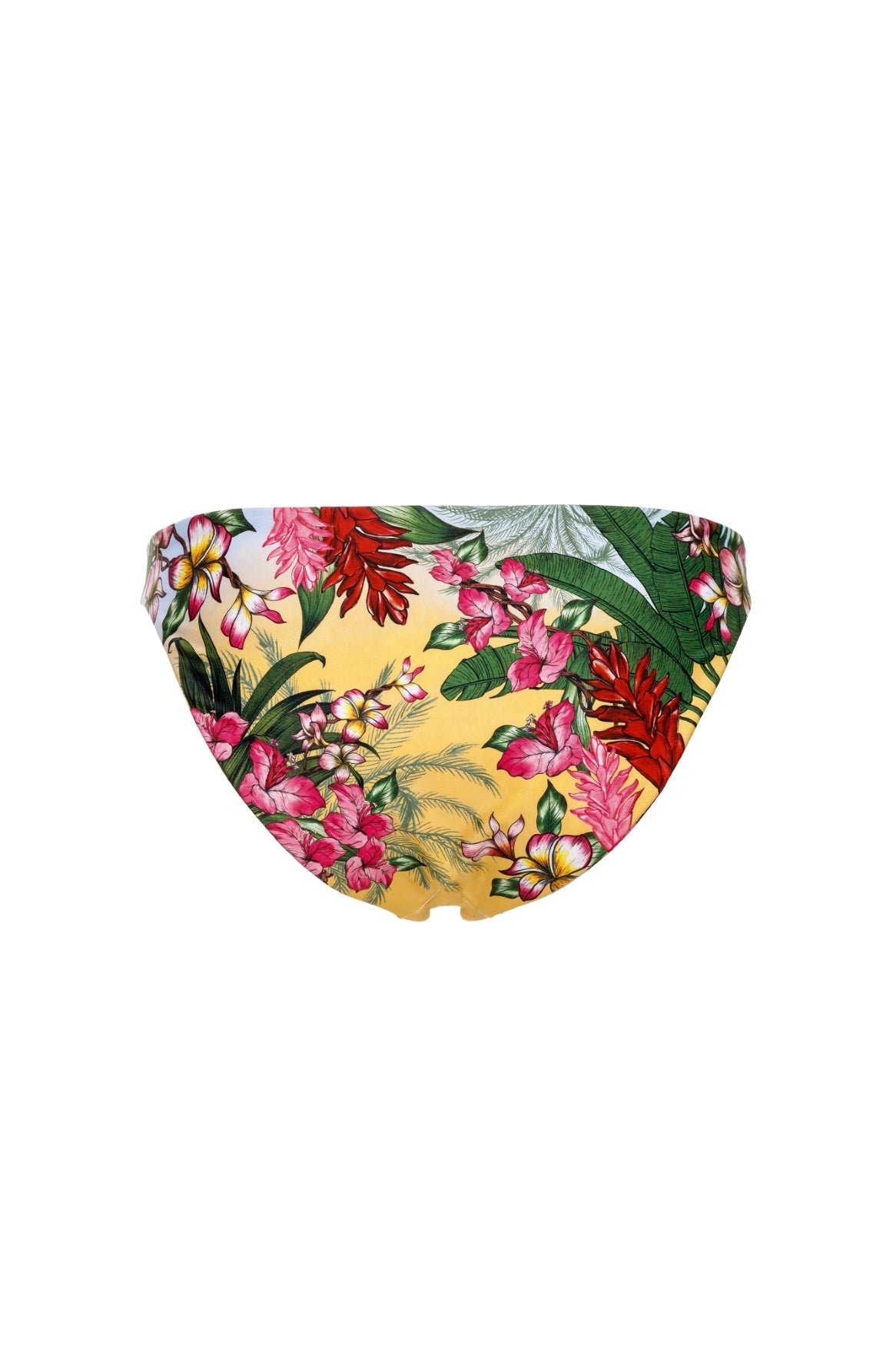 Ventura-ilu-bikini-bottom-15440-4